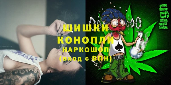 прущие грибы Киренск