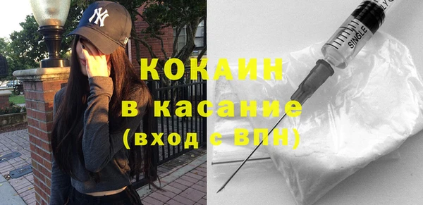 прущие грибы Киренск