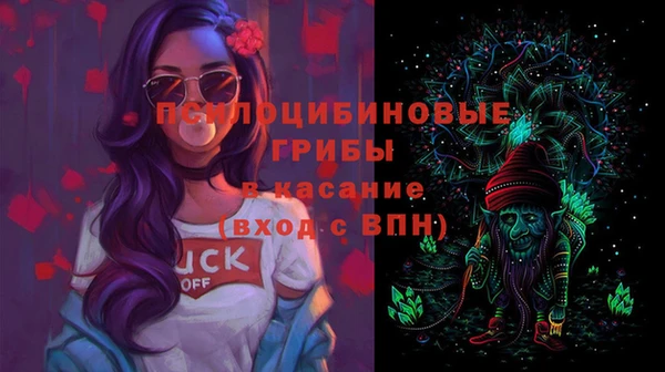 прущие грибы Киренск
