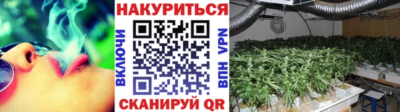 Марихуана MAZAR Курчалой